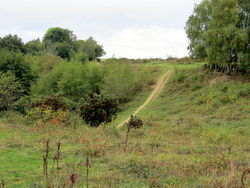 Oct 2013: 8B gully head